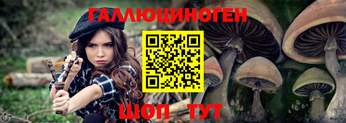 магазин  наркотиков  Псилоцибиновые грибы мухоморы  Вход с VPN  Горячий Ключ 